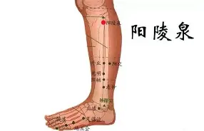 中国官方网站- 尼尔斯被鸡围起来 